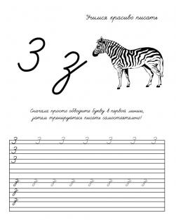 Пропись буквы з, раскраска зебра, учимся красиво писать 