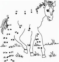 Раскраски с примерами, лошадь 