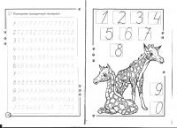 Прописи цифры от 0 до 9, раскраска жирафы 