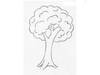 Как нарисовать для детей дерево 