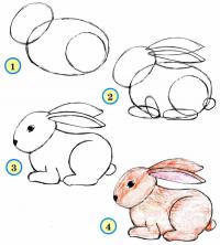 Нарисовать поэтапно животных зайца 