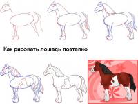 Нарисовать поэтапно животных, лошадка 