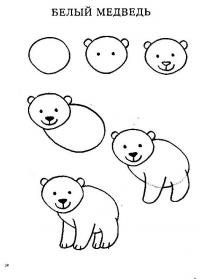 Нарисовать поэтапно животных, белый медведь 