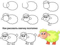 Нарисовать поэтапно животных, овечка 