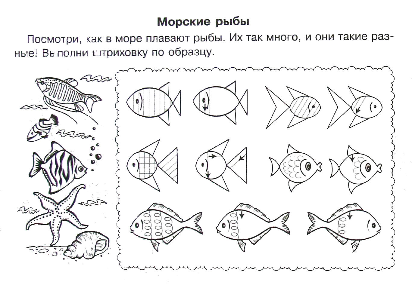Планирование в старшей группе рыбы