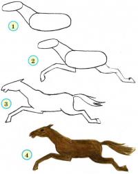 Нарисовать поэтапно животных, лошадь на бегу 