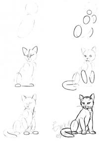 Нарисовать поэтапно животных, сидящая кошка 