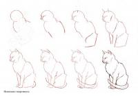 Нарисовать поэтапно животных, дремлющая кошка 