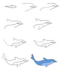 Нарисовать поэтапно животных, дельфин 