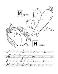 Прописи для дошкольников буквы м и н прописные, с раскрасками овощи 