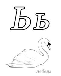 Раскраски азбука, ь знак, лебедь 