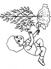 Обучающие раскраски, мальчик с деревом 