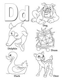 Буква d, собака, дельфин, барабан 