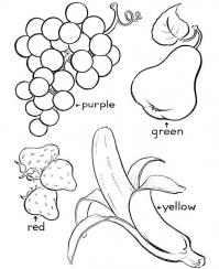Обучающие раскраски, виноград, груша, клубника, цвета по английски 