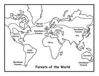 Обучающие раскраски, карта мира 