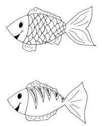 Найди отличия у рыбок 
