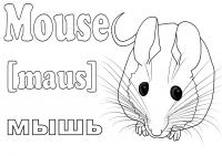 Учим животных раскраски, мышь по английски 