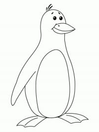 Учим животных раскраски, пингвин 