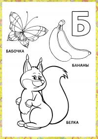 Буква б, бабочка, банан, белка 