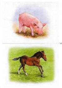 Карточки домашние животные 