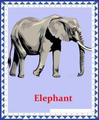 Слон на английском 